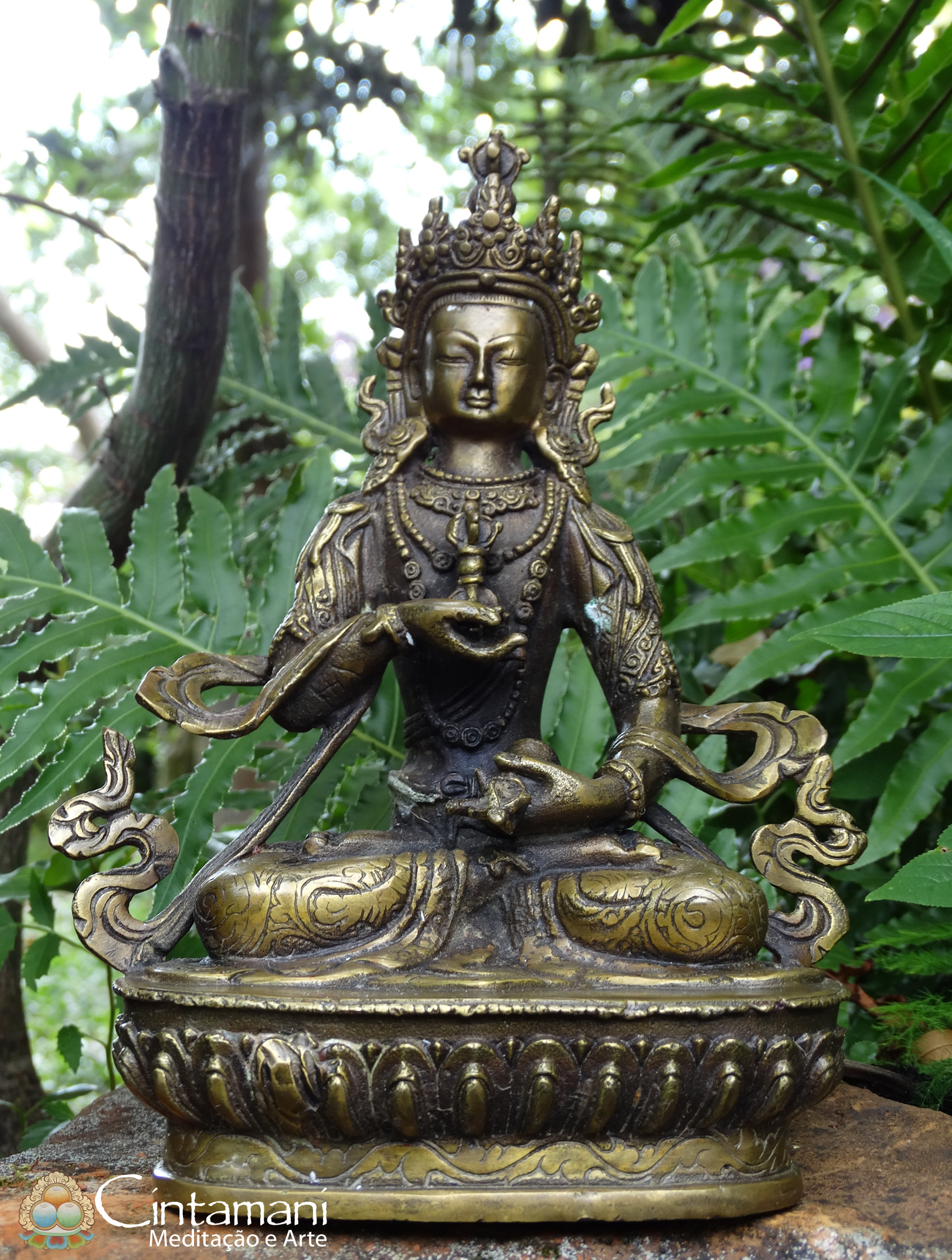 Prática Buda Vajrasattva Dorje Sems Dpa Uma Meditação Tântrica